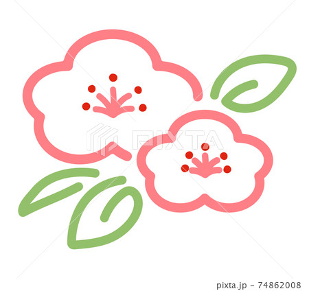 かわいい梅の花の線画イラスト ピンクのイラスト素材