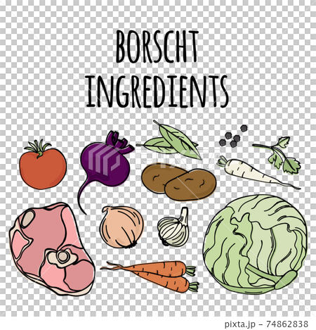 BORSCHT INGREDIENTS National Russian Cuisine Traditional Soup Food Vector Illustration Set For Print 74862838