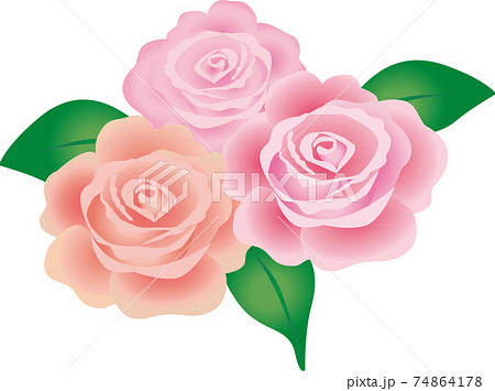 薔薇の花束のイラスト素材