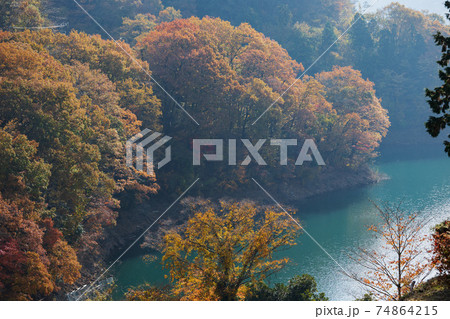 秋の宮ヶ瀬湖 74864215