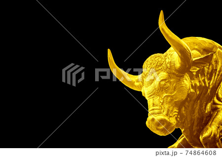 Golden Bull on black background .As symbol of wealth and success Golden Bull on black background .As symbol of wealth and success 74864608