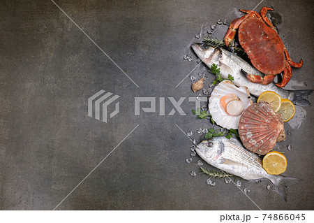 Several fishes, crab and shells with space for writing 74866045