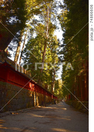 東照宮から二荒山神社への参道 74866606