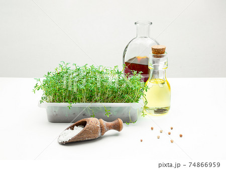 A box with micro greens 74866959