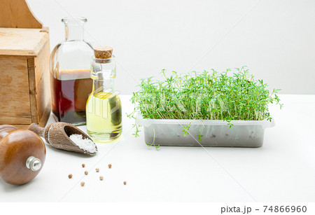 Micro greens on the kitchen table 74866960