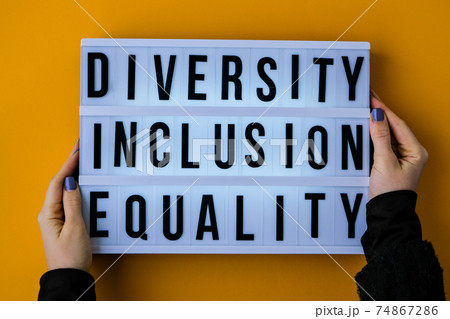 Diversity inclusion equality lettering. Text. Diversity, Age, Ethnicity, Sexual Orientation, Gender, Religion. Equal rights social concept. 74867286