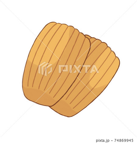 マドレーヌのイラスト素材