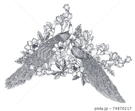 Vector bouquet of hand drawn peacocks, doodle magnolia and sakura flowers. Beautiful romantic elegant floral composition Vector bouquet of hand drawn peacocks, doodle magnolia and sakura flowers. Beautiful romantic elegant floral composition 74870217