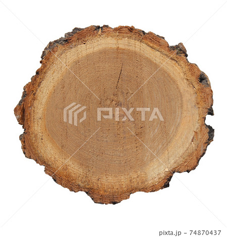 A cut of sawn wood. A piece of wood on a white background A cut of sawn wood. A piece of wood on a white background 74870437