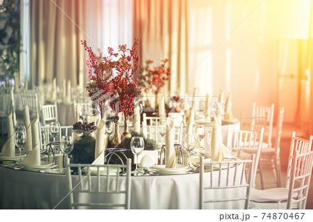 Decoration for the holiday table. Spruce branch and berries of viburnum. 74870467