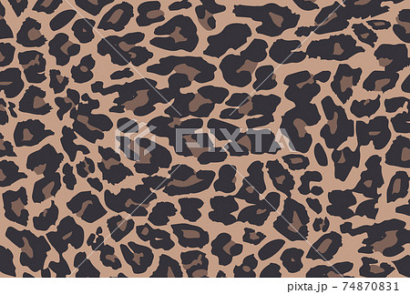 ヒョウ柄 レオパード柄 背景素材 ポストカードのイラスト素材