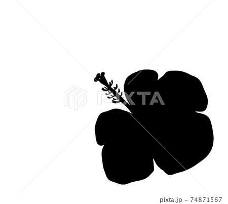 南国を感じるハイビスカスのシルエットのイラスト素材