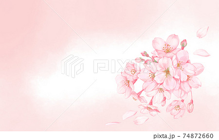 桜と桜の花びら3のイラスト素材