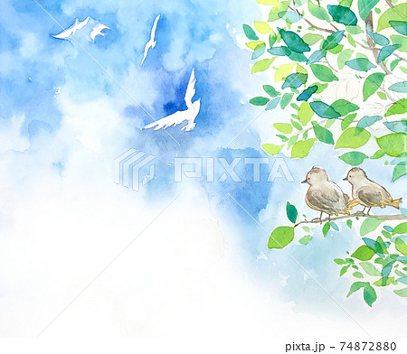 鳥と青空の水彩画イラスト コピースペース有り のイラスト素材 7487