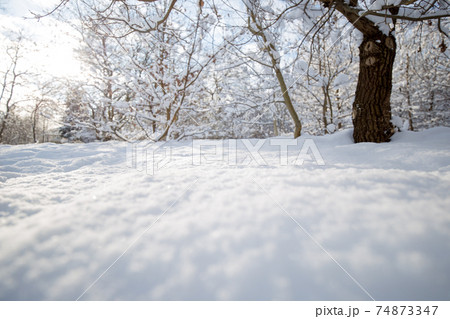 Snow texture. Winter background of snow and frost with free space for your decoration 74873347