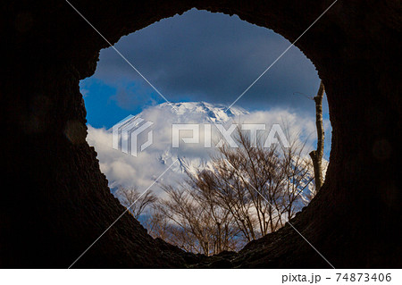 溶岩樹型から富士山を望む風景 溶岩樹型から富士山を望む風景 74873406