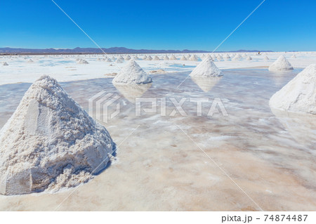 Salt 74874487