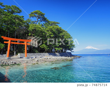 静岡県　小舟ヶ浜と富士　2月 74875714