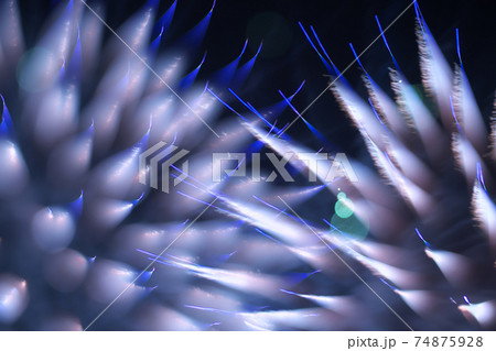 アート花火 アート花火 74875928