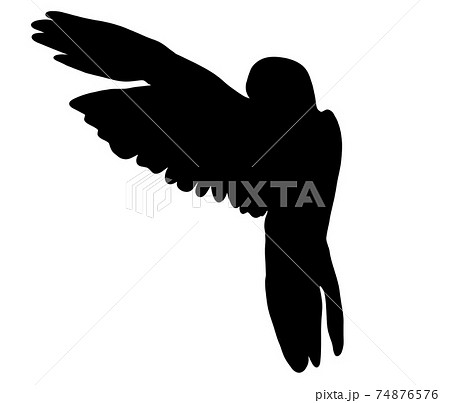 片方の羽を広げたオウムのシルエット 74876576