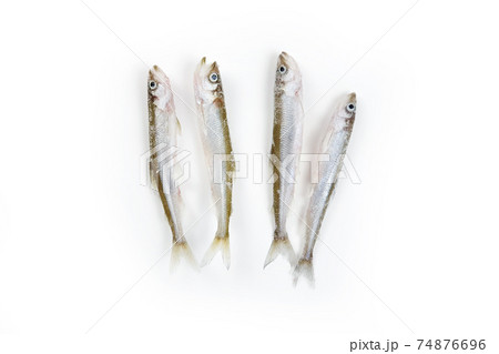 Deep frozen raw smelt fishes with ice pieces isolated on white background. Top view, copy space. Osmerus eperlanus. 74876696