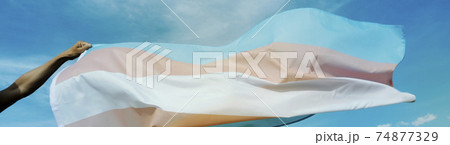 person with a transgender pride flag, web banner person with a transgender pride flag, web banner 74877329