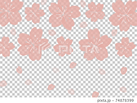 Cherry background Cherry background 74878399