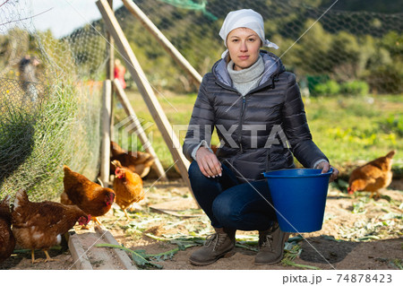 Female farmer feeding chickens 74878423