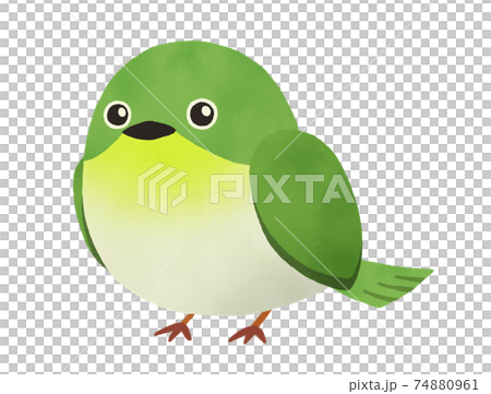 ワンポイントに！メジロの水彩イラスト　主線なし 74880961