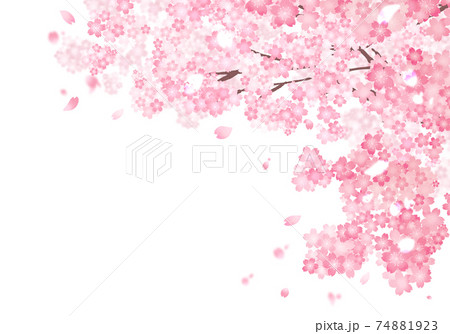 桜 桜 74881923