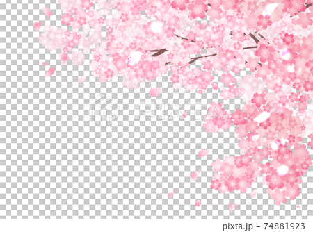 桜 桜 74881923