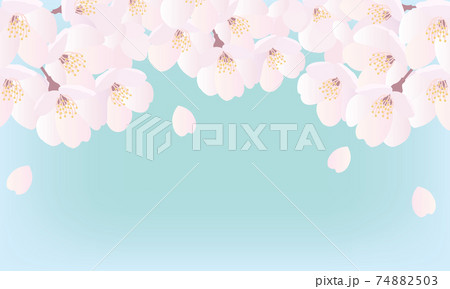 桜背景イラスト グリーンのイラスト素材