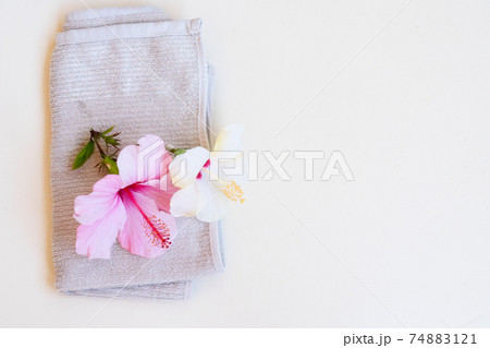 gua sha, face massage roller 74883121