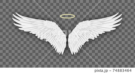 Realistic Wings Vectorのイラスト素材