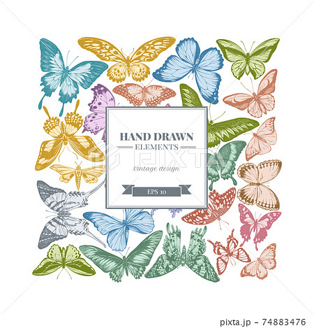 Square design with pastel great orange-tip, emerald swallowtail, jungle queens, plain tiger, rajah Square design with pastel great orange-tip, emerald swallowtail, jungle queens, plain tiger, rajah 74883476