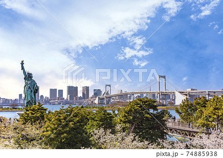 東京 お台場 お台場海浜公園の自由の女神の前に咲く桜とレインボーブリッジの風景 の写真素材