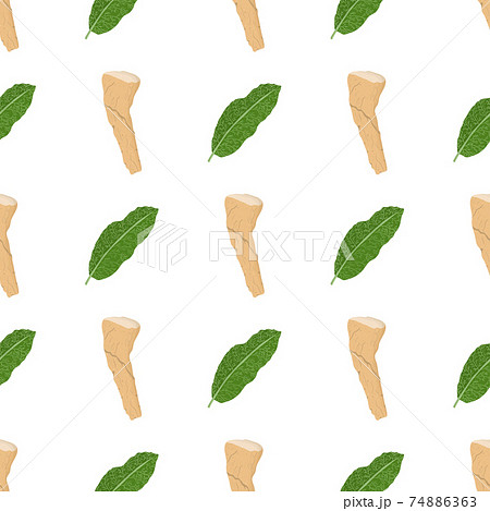Seamless pattern with horseradish root and green leaf. Seamless pattern with horseradish root and green leaf. 74886363