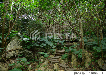 大石林山より 74886381