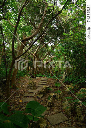 大石林山より 74886384