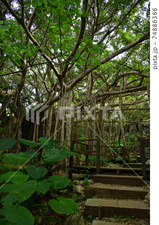 大石林山より 74886386