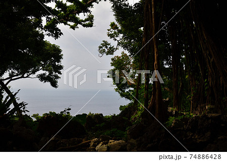 大石林山より 74886428