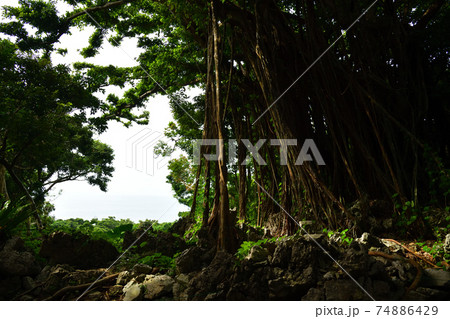 大石林山より 74886429