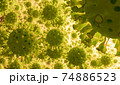 Coronavirus 2019-nCov novel coronavirus concept. Microscope virus close up. 74886523