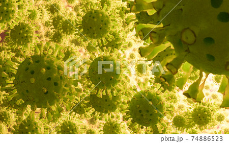 Coronavirus 2019-nCov novel coronavirus concept. Microscope virus close up. Coronavirus 2019-nCov novel coronavirus concept. Microscope virus close up. 74886523