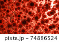 Coronavirus 2019-nCov novel coronavirus concept. Microscope virus close up. 74886524