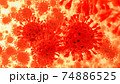 Coronavirus 2019-nCov novel coronavirus concept. Microscope virus close up. 74886525