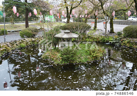 湧玉池（富士山本宮･浅間大社／静岡県富士宮市宮町1-1） 74886546