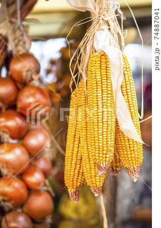 indian corn and onion in fruit market indian corn and onion in fruit market 74887041