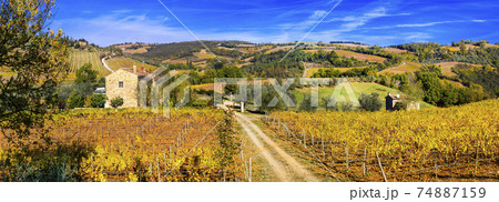 Golden vineyards. Beautiful Tuscany landscape in autumn colors. Italy 74887159