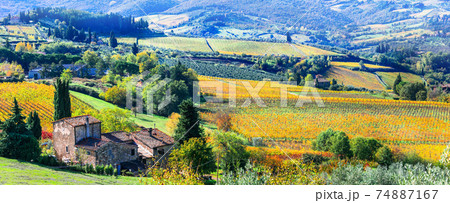 Golden rolling hills and vineyards of Tuscany, Chianti wine region of Italy 74887167